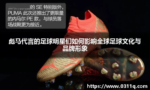 芒果体育app官网入口